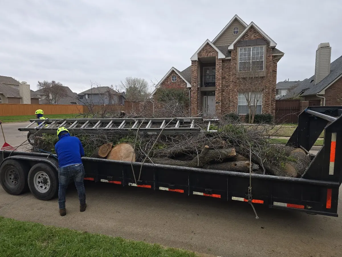 Expert Tree Fertilization with proper safety equipment in Hamden